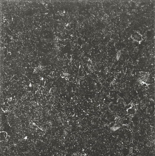 HIJAUL - 15X15 - Image 2