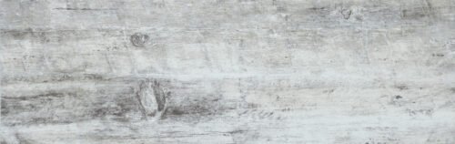 JUNGLE - 20X60